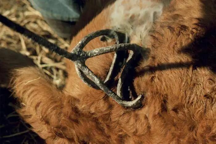 注冊國內(nèi)商標